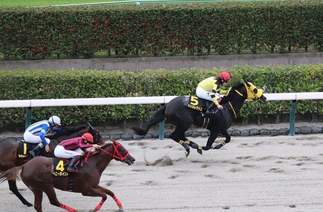 【検量室前インタビュー】グリーンチャンネルＣなど・土曜東京レース後コメント