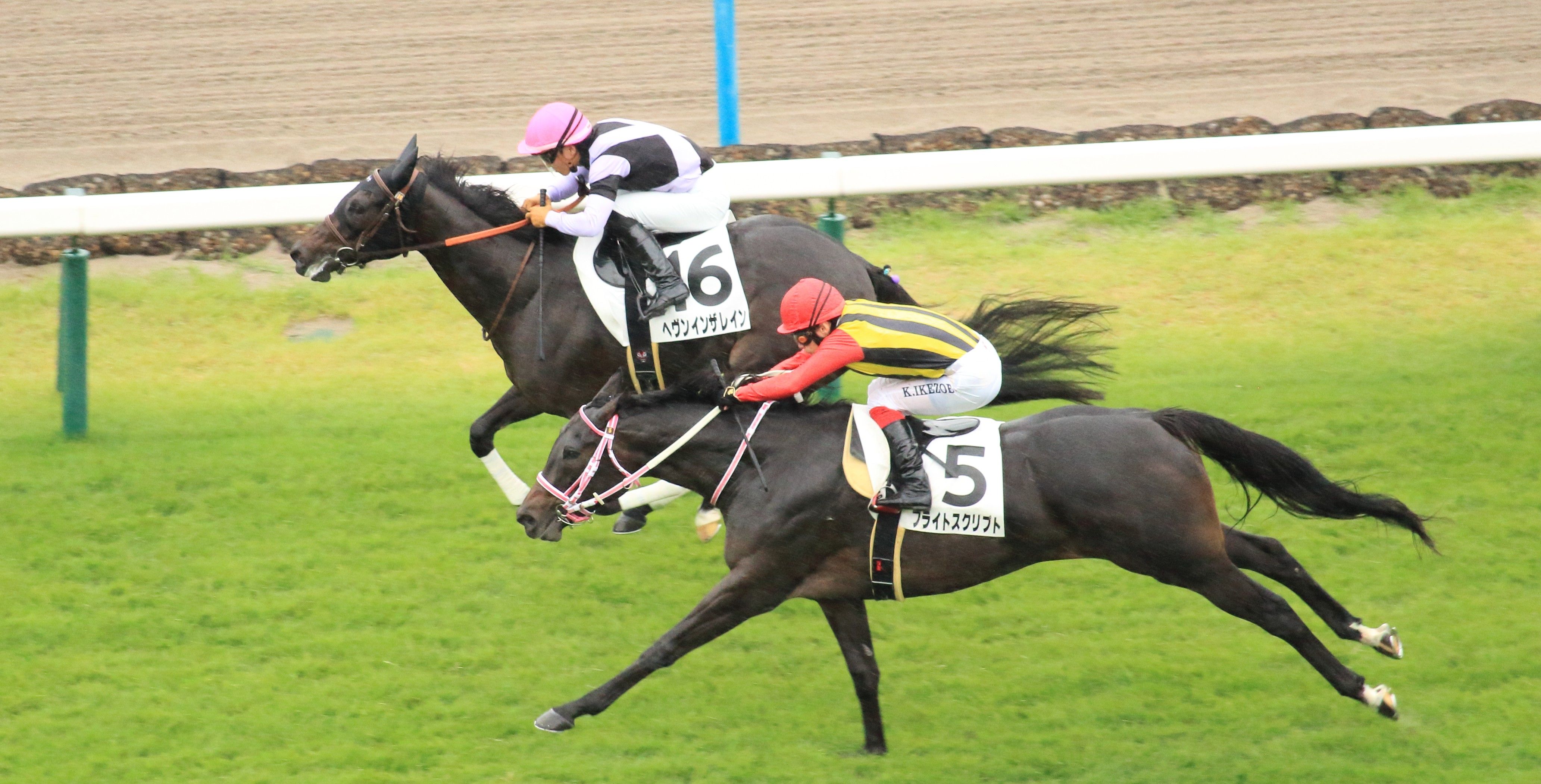 【検量室前インタビュー】日曜京都２歳新馬・レース後コメント