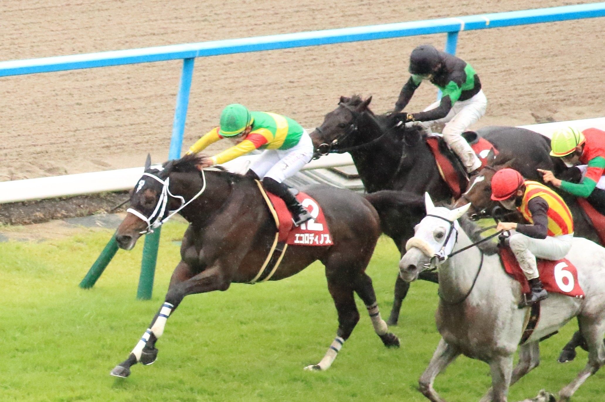 【検量室前インタビュー】京都大賞典など・日曜京都レース後コメント
