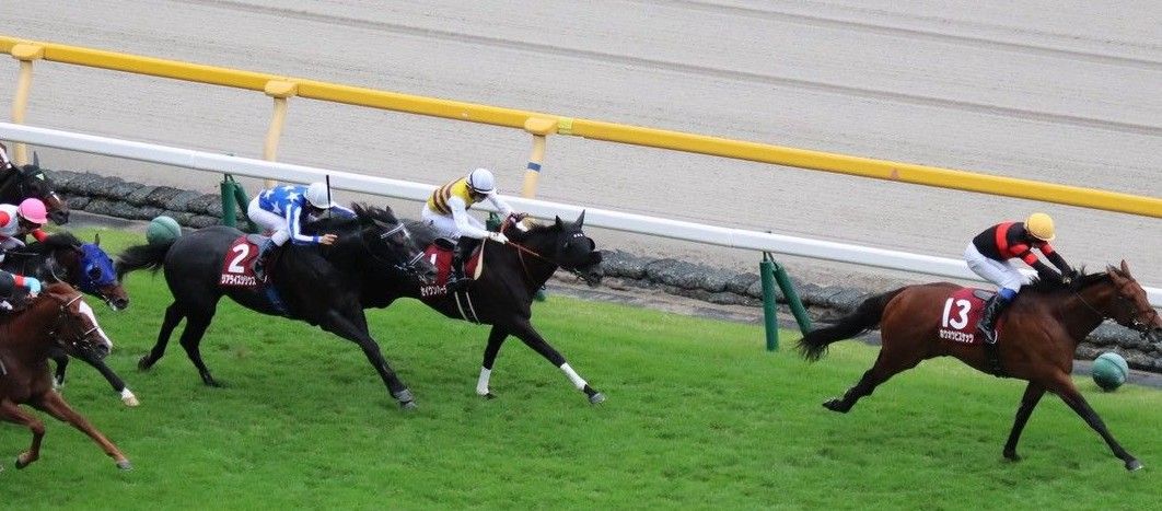【検量室前インタビュー】毎日王冠など・日曜東京レース後コメント