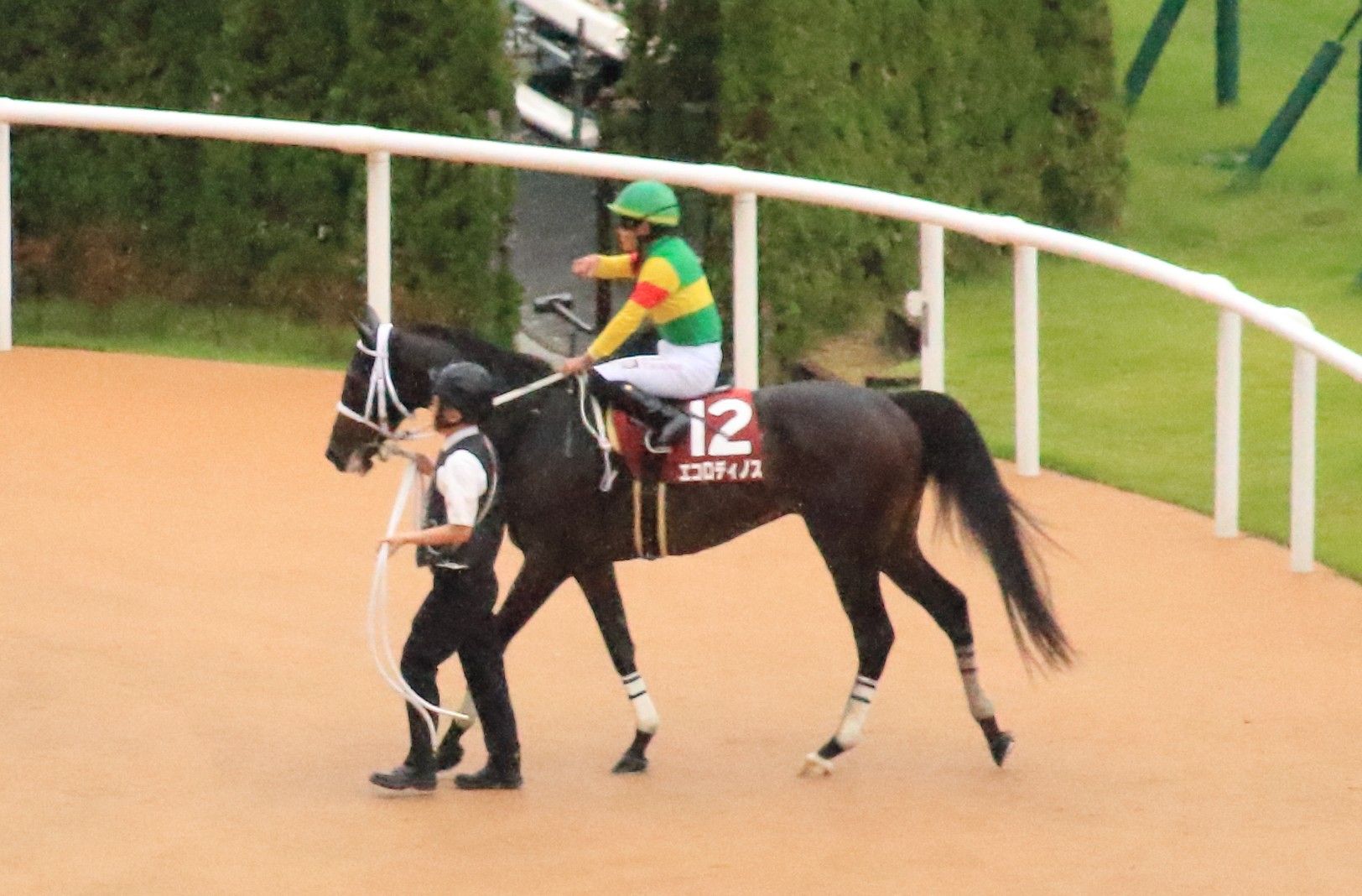 【レース結果速報】京都大賞典・エコロディノスが優勝