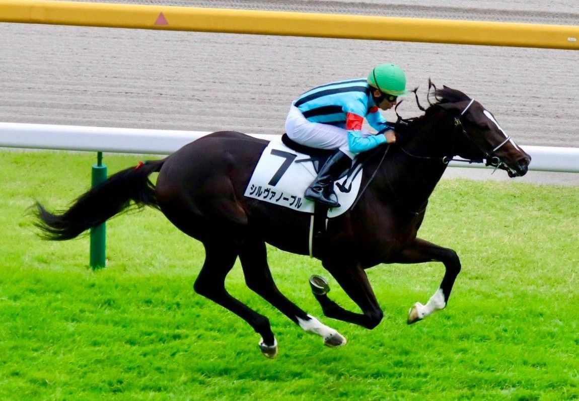【検量室前インタビュー】日曜東京２歳新馬・レース後コメント