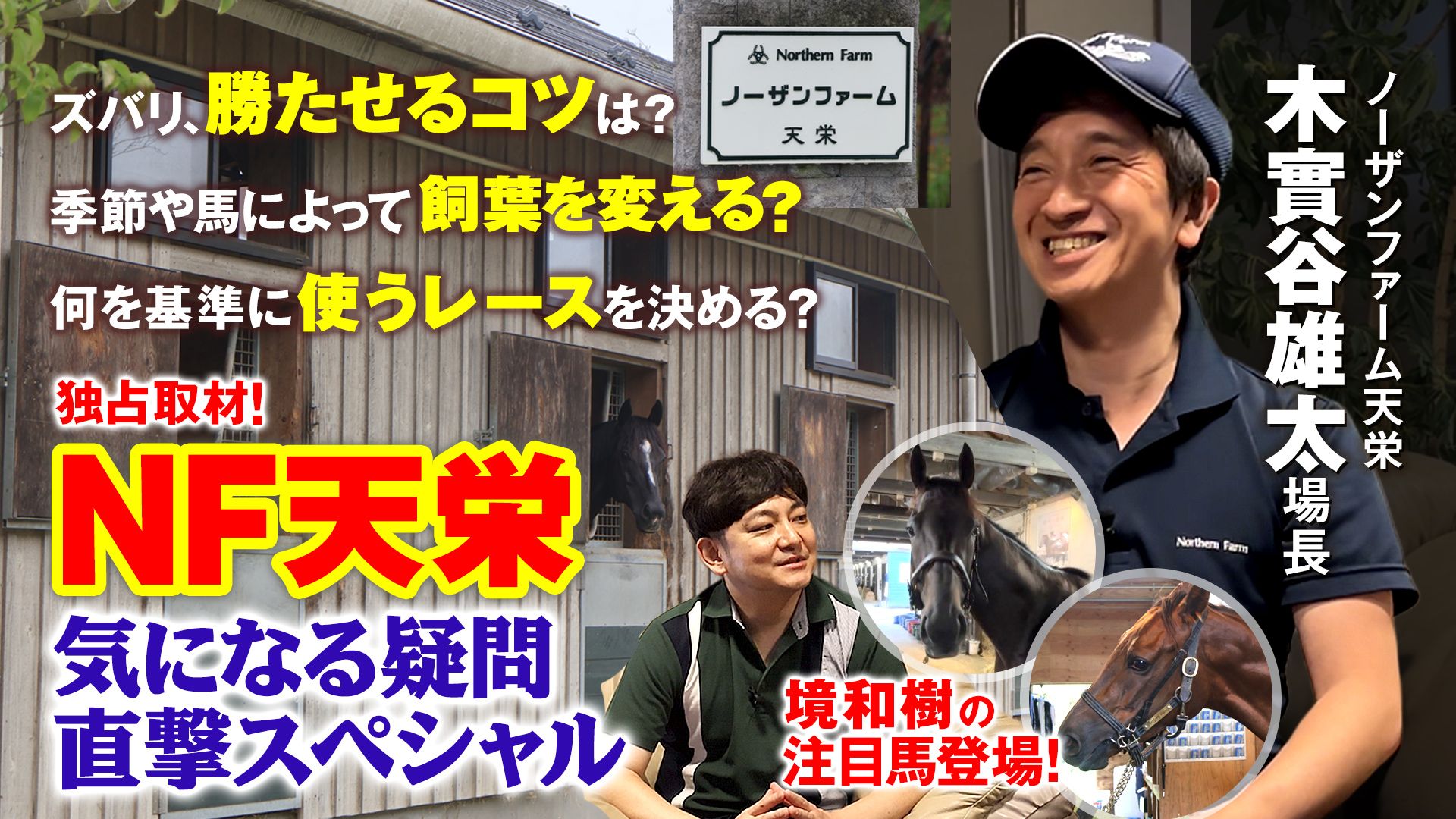 【NF天栄 直撃SP】競馬ファンの気になるギモンに木實谷場長がズバリ回答！🔍境和樹の注目馬も徹底深掘り🐴