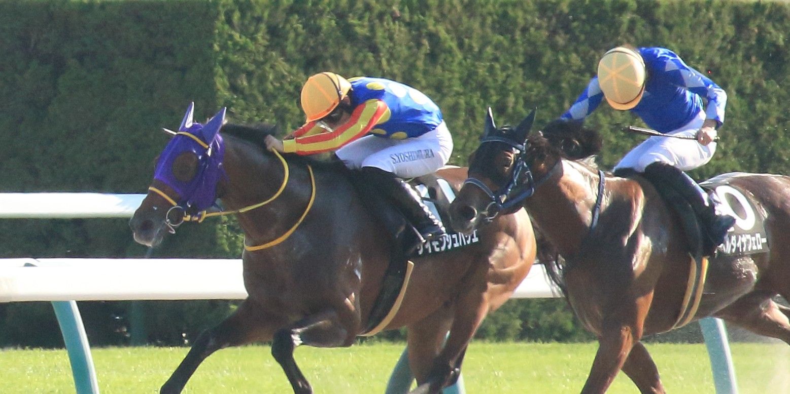 【検量室前インタビュー】御陵Ｓなど・土曜京都レース後コメント