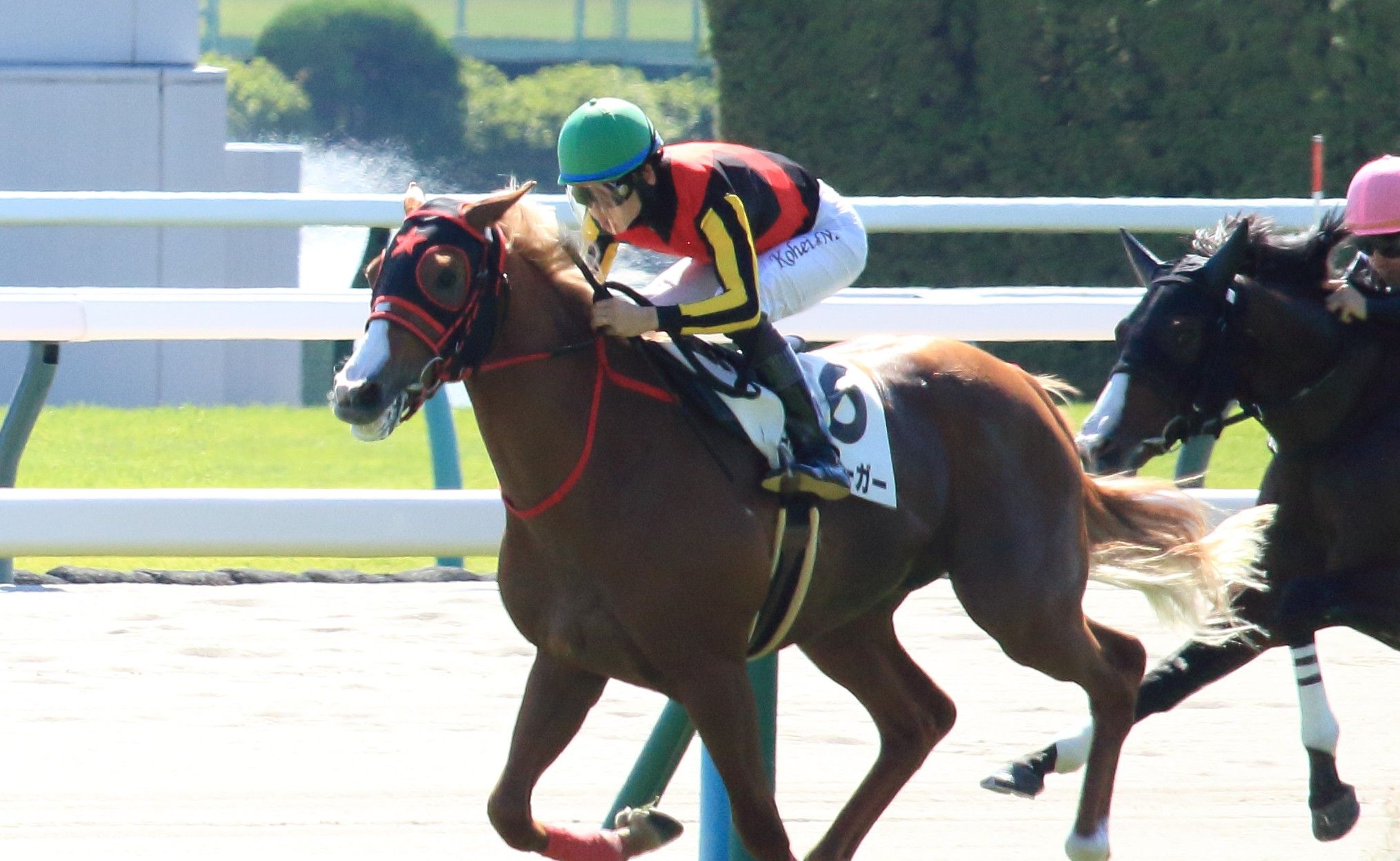 【検量室前インタビュー】日曜京都２歳新馬・レース後コメント
