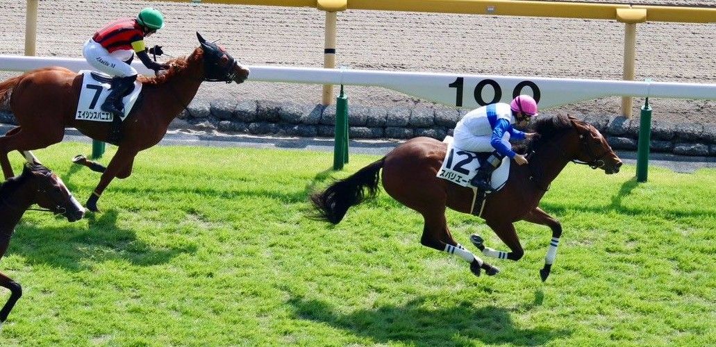 【検量室前インタビュー】祝日・月曜東京２歳新馬・レース後コメント