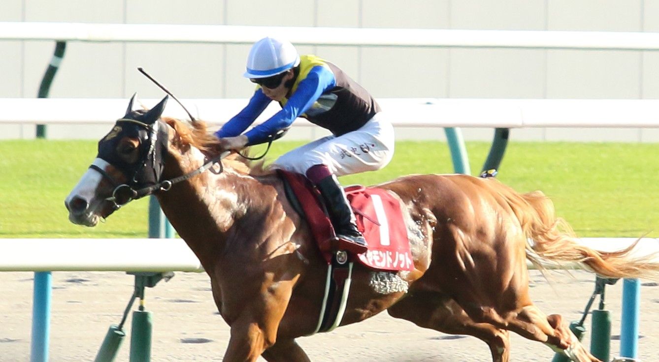【検量室前インタビュー】スワンＳなど・祝日・月曜京都レース後コメント