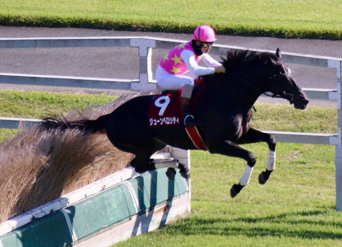 東京ＨＪ・ジューンベロシティが優勝