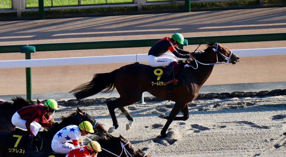 【検量室前インタビュー】ブラジルＣなど・日曜東京レース後コメント