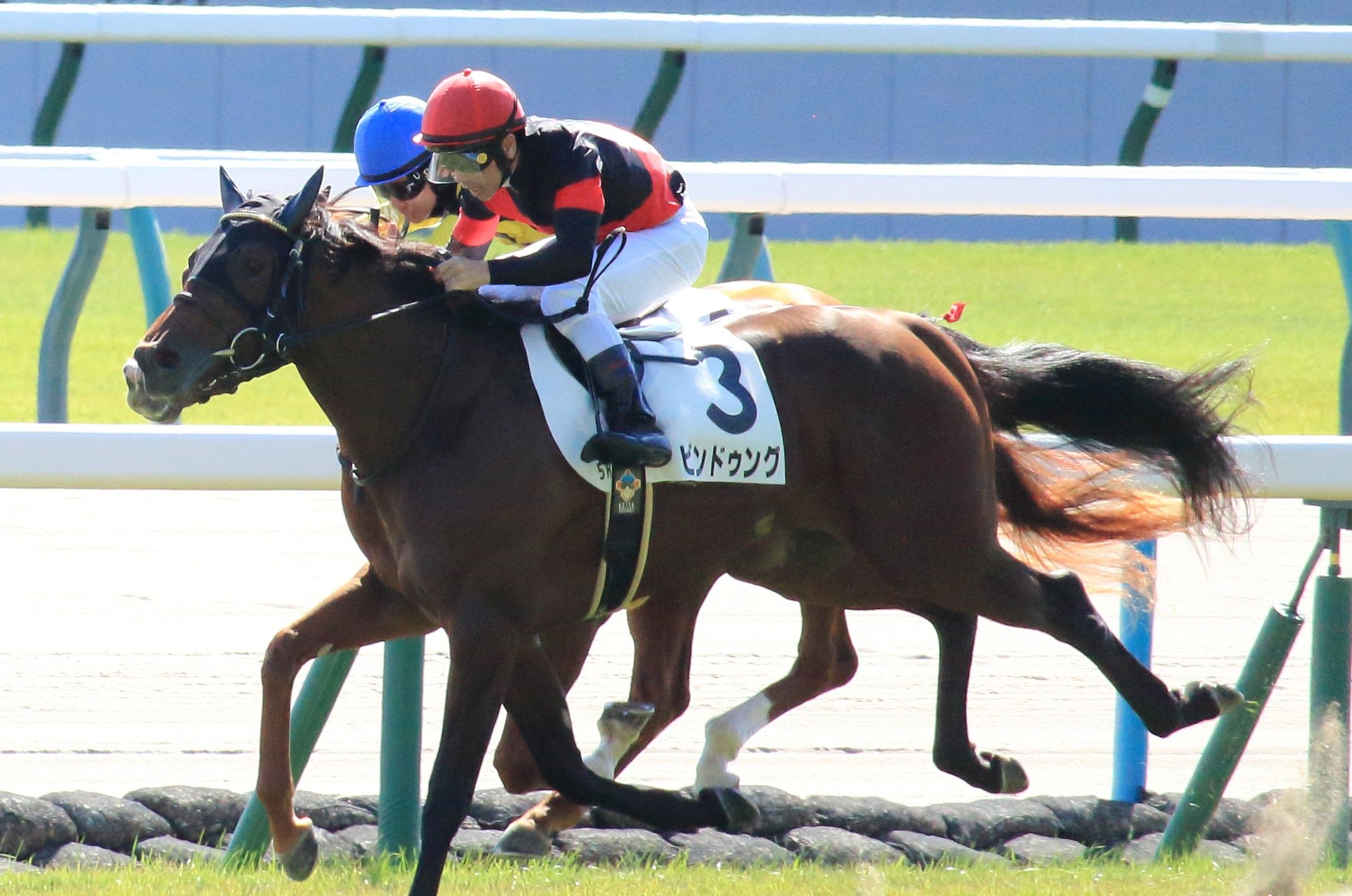 【検量室前インタビュー】日曜京都２歳新馬・レース後コメント
