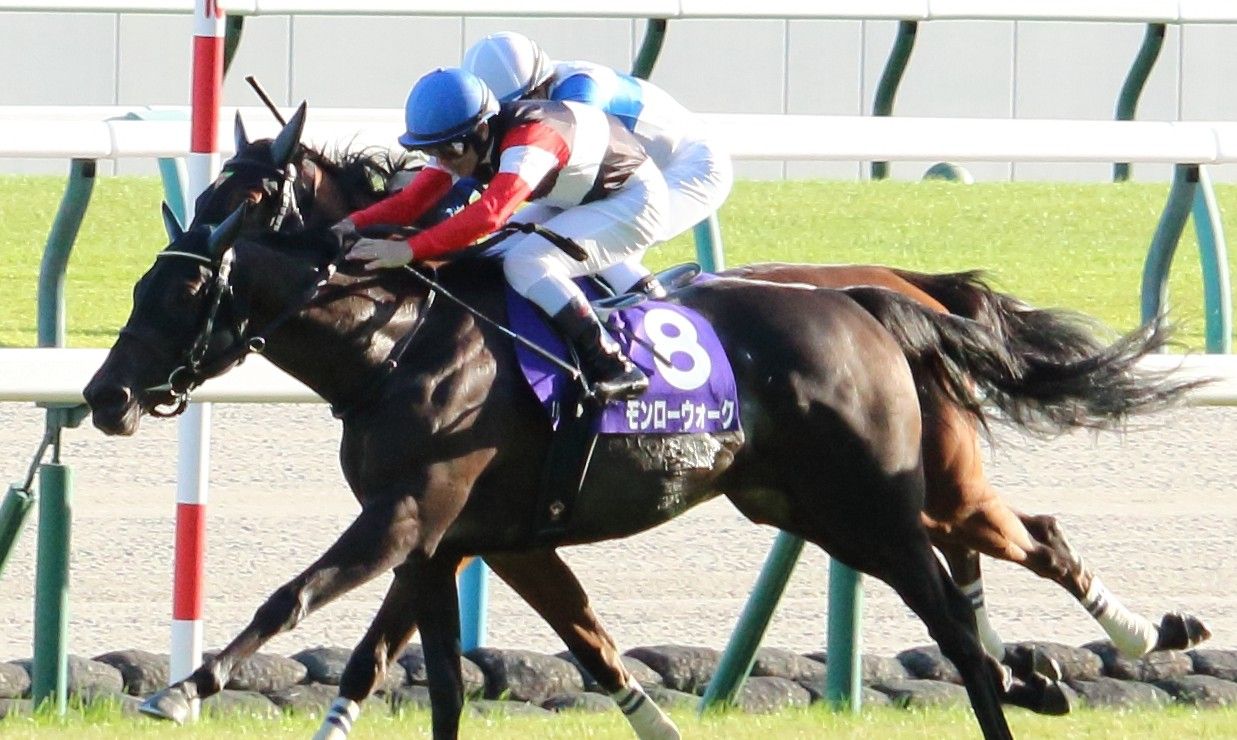 【検量室前インタビュー】秋華賞など・日曜京都レース後コメント
