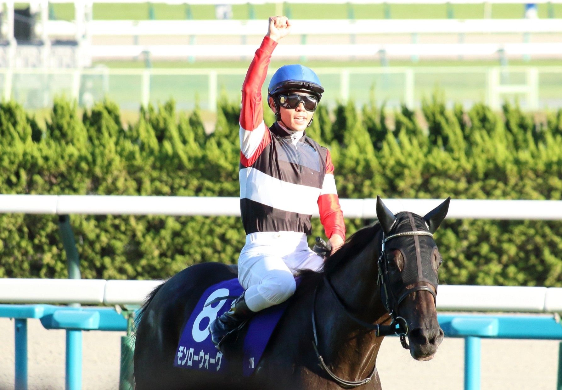 秋華賞・モンローウォークが優勝