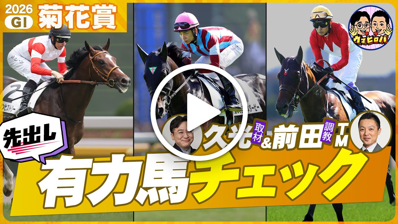 【菊花賞 有力馬チェック編】ロブチェンの三冠制覇か、それとも逆転か？１週前追い切り＆トレセンリポートを盛り沢山でお届け！