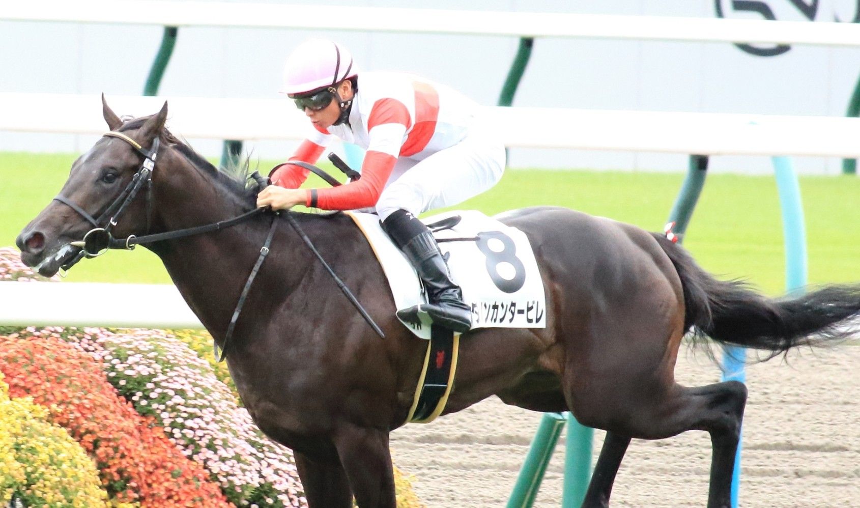 【検量室前インタビュー】日曜京都２歳新馬・レース後コメント