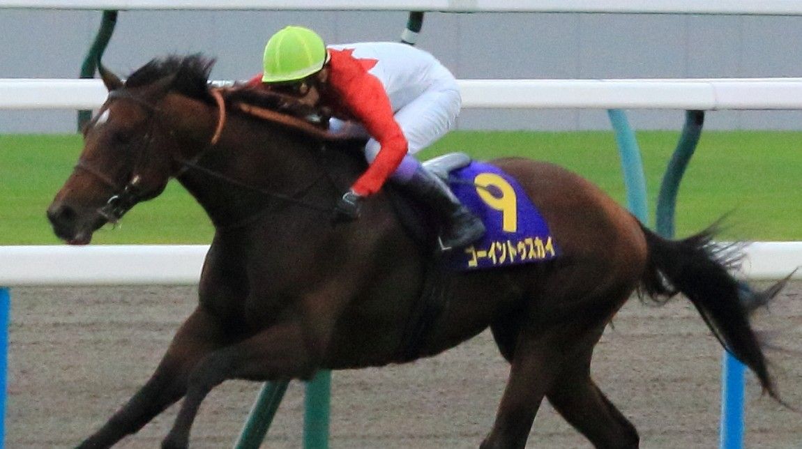 【検量室前インタビュー】菊花賞など・日曜京都レース後コメント