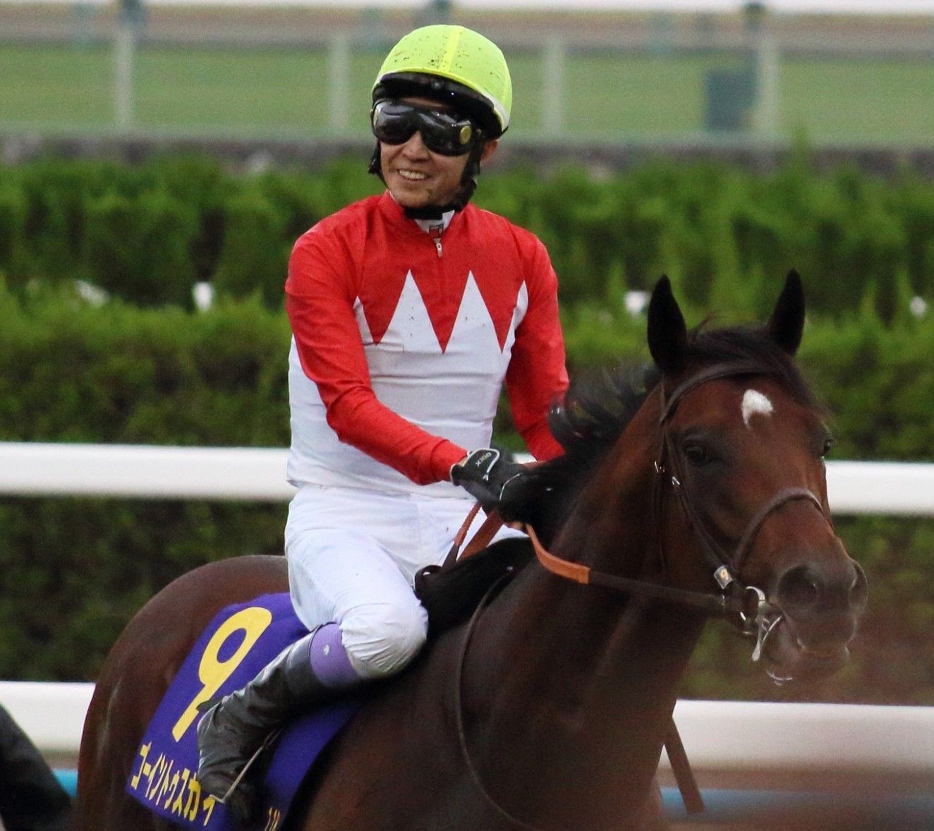 菊花賞・ゴーイントゥスカイが優勝