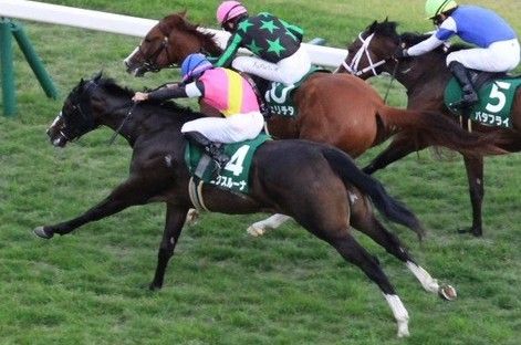 【検量室前インタビュー】ファンタジーＳなど・土曜京都レース後コメント