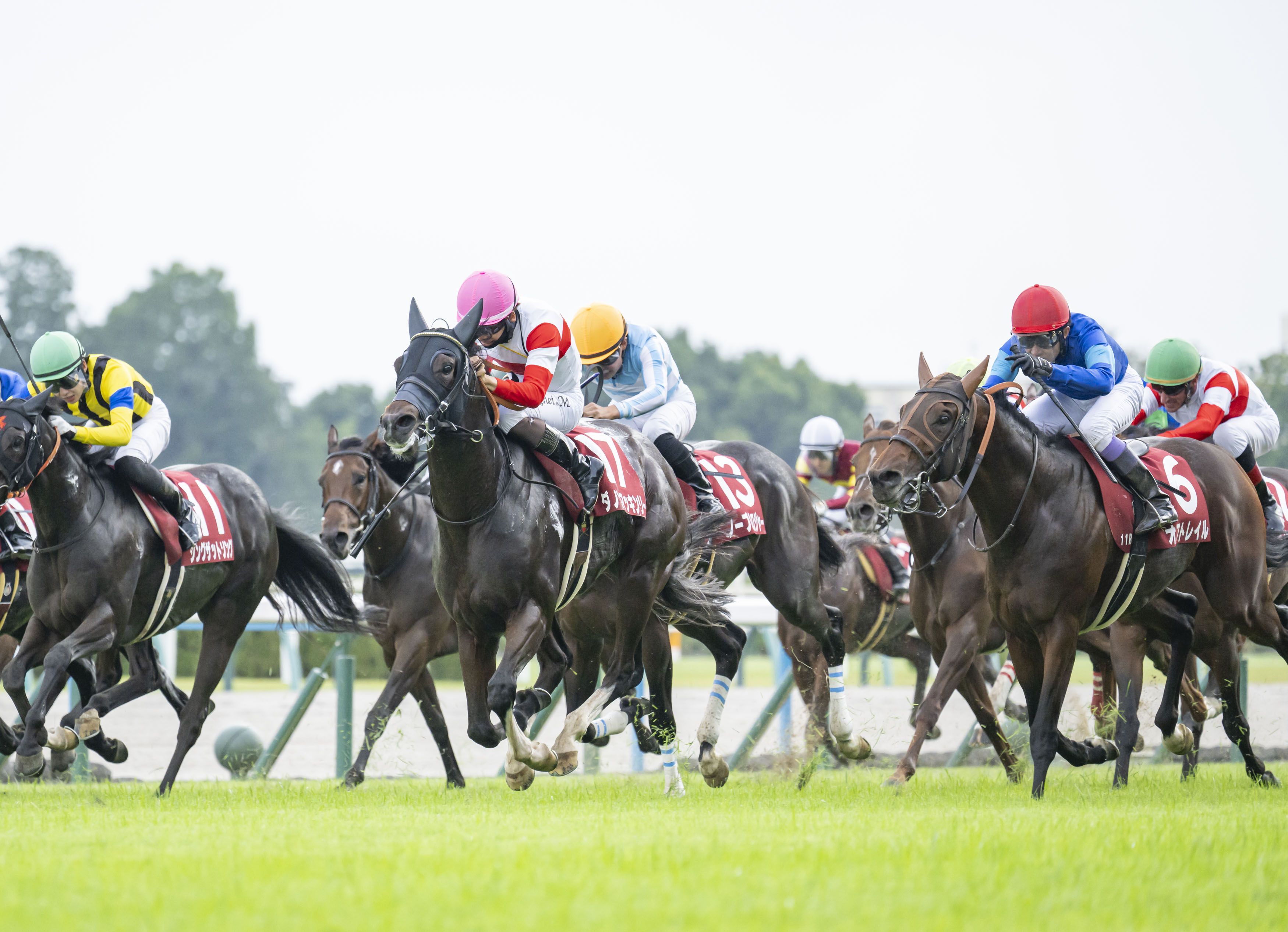超活用ネット競馬で稼ぎまくれ! ネット株より簡単! 超活用ネット競馬で稼ぎまくれ!: ネット株より簡単!(荒井 俊也