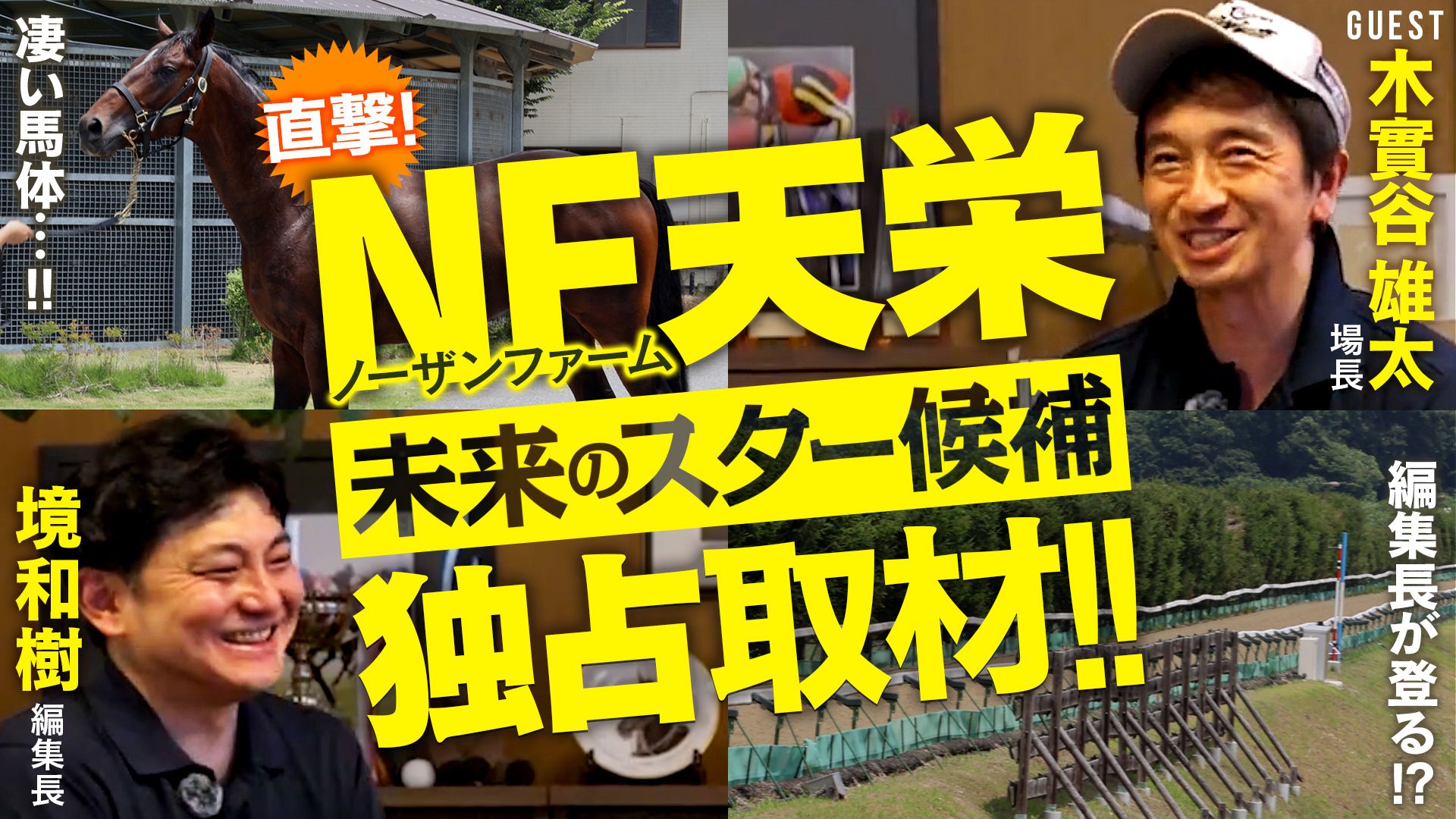 ドンズバTV